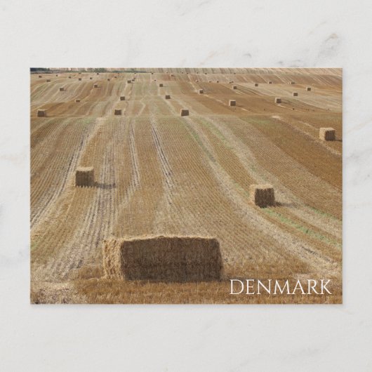 Mooie Deense landschapspostkaart! Briefkaart (Voorkant)
