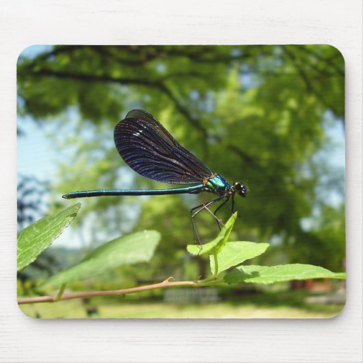 Mooie Demoiselle Mouse Mat Muismat (Voorkant)