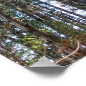 Mooie dennenbomen poster (Hoek)