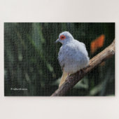 Mooie Diamond Dove in de Spotlight Legpuzzel (Horizontaal)
