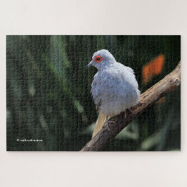 Mooie Diamond Dove in de Spotlight Legpuzzel
