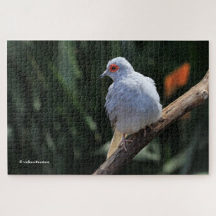 Mooie Diamond Dove in de Spotlight Legpuzzel