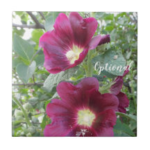 Mooie dieprode bloemen en groene bladeren