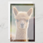 Mooie dierborden briefpapier (Voorkant / Achterkant)