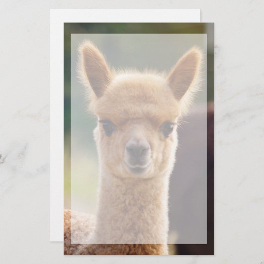 Mooie dierborden briefpapier (Voorkant / Achterkant)