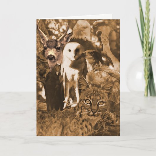 Mooie dieren in het wild zijn leeg kaart (Voorkant)