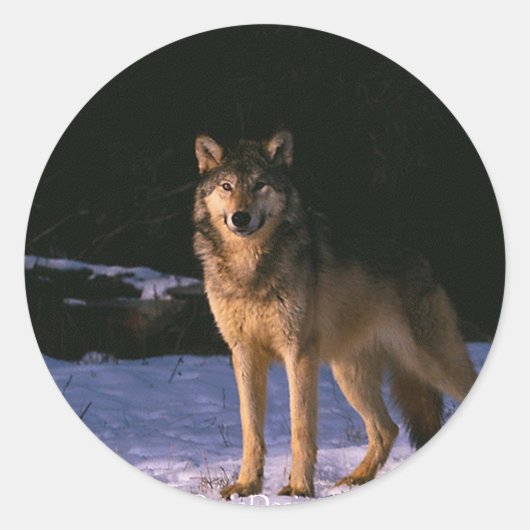 Mooie dieren van het wild ronde sticker (Voorkant)