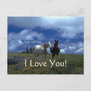 Mooie Dierlijke Kaarten Feestdagenkaart