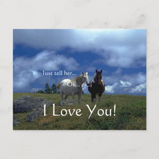 Mooie Dierlijke Kaarten Feestdagenkaart (Voorkant)