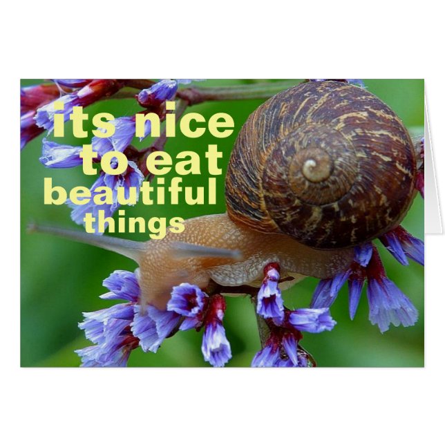 mooie dingen (Voorkant Horizontaal)