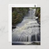 Mooie Dingmans Herfsten Briefkaart (Voorkant / Achterkant)