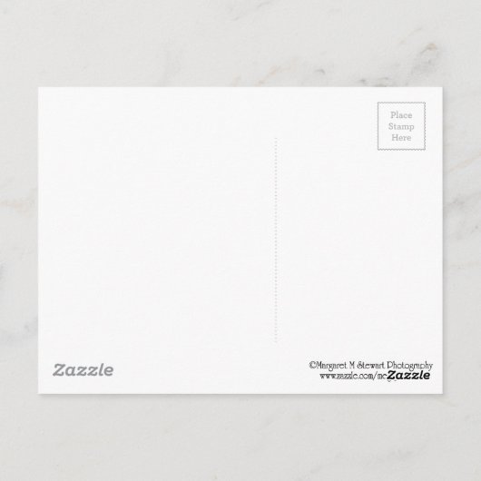 Mooie Dingmans Herfsten Briefkaart (Achterkant)