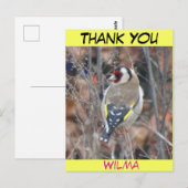 Mooie distelvink aangepaste tekst DANK JE Postkaar Briefkaart (Voorkant / Achterkant)