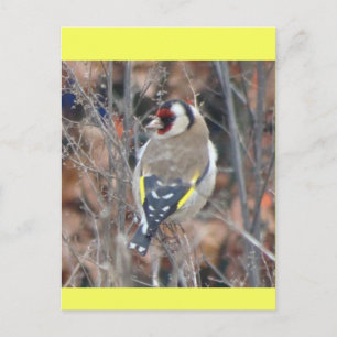 Mooie distelvink doe-het-zelf-ansichtkaart briefkaart
