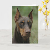 Mooie Doberman Kaart (Gele Bloem)
