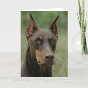 Mooie Doberman Kaart