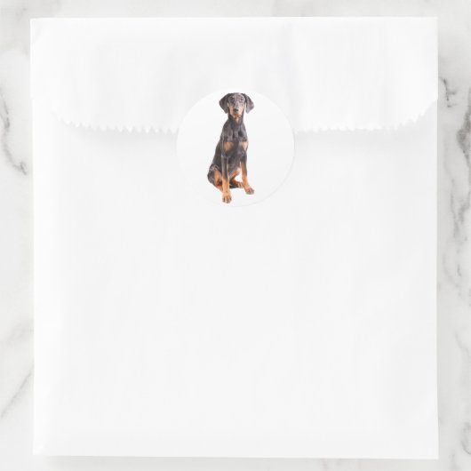 Mooie doberman pinscher ronde sticker (Tas)