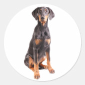 Mooie doberman pinscher ronde sticker (Voorkant)
