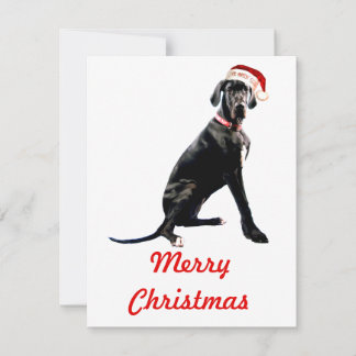 Mooie Dog Argentaar in Kerstman Hoed Notitiekaartje