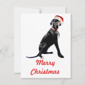 Mooie Dog Argentaar in Kerstmannenhoed  Notitiekaartje (Voorkant)