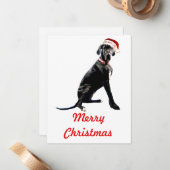 Mooie Dog Argentaar in Kerstmannenhoed  Notitiekaartje (Voorkant / Achterkant in situ)