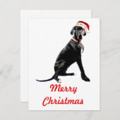 Mooie Dog Argentaar in Kerstmannenhoed  Notitiekaartje (Voorkant / Achterkant)