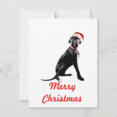 Mooie Dog Argenteuil in Kerstmanhoed Notitiekaartje (Achterkant)