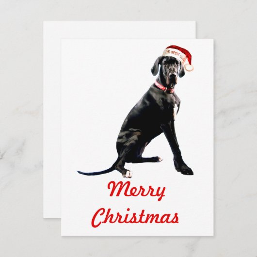 Mooie Dog Argenteus in Kerstman Hoed  Notitiekaartje (Voorkant / Achterkant)