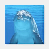 Mooie dolfijn magneet (Voorkant)