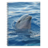 Mooie dolfijn notitieboek (Voorkant)