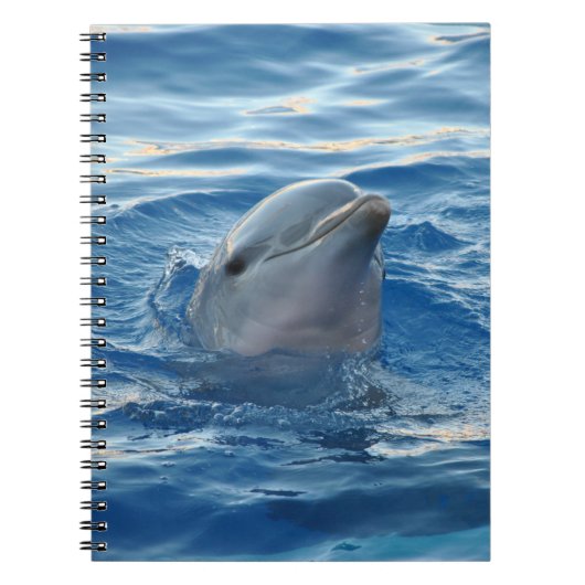 Mooie dolfijn notitieboek (Voorkant)
