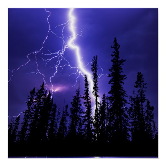 mooie donder boven het bos perfect poster (Voorkant)