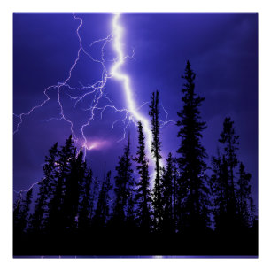 Mooie donder over het bos perfect poster