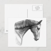 mooie donkere paard briefkaart (Voorkant / Achterkant)