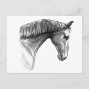  mooie donkere paard briefkaart