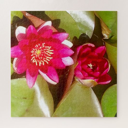 Mooie donkerroze waterLily, Lotus Blossom Legpuzzel (Horizontaal)