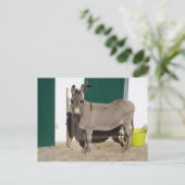 Mooie Donkey Briefkaart (Staand voorkant)