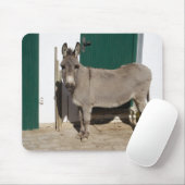 Mooie Donkey Muismat (Met muis)