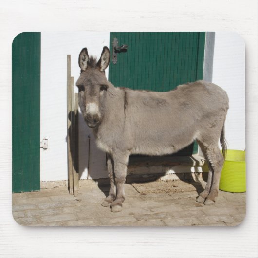 Mooie Donkey Muismat (Voorkant)