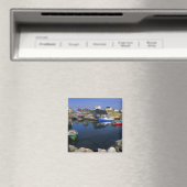 Mooie dorp Peggy's Cove met haven Magneet (Insitu (Vaatwasser))