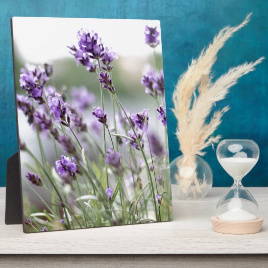Mooie douane-lentevloeren - lavender fotoplaat (Zijkant)