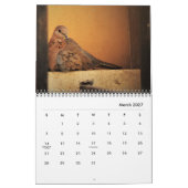 Mooie Doves-agenda Kalender (Mar 2027)