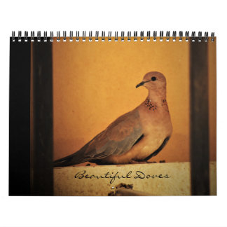 Mooie Doves-agenda Kalender