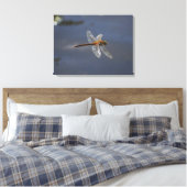 Mooie Dragonfly close-up over water Canvas Afdruk (Insitu (Slaapkamer))