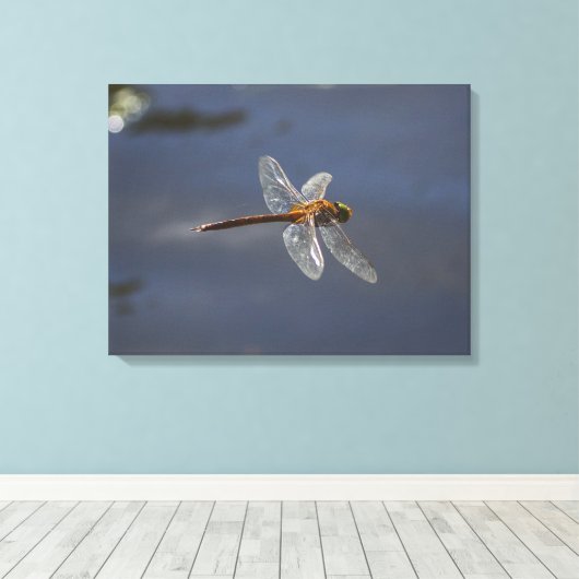 Mooie Dragonfly close-up over water Canvas Afdruk (Insitu (Houten vloer))