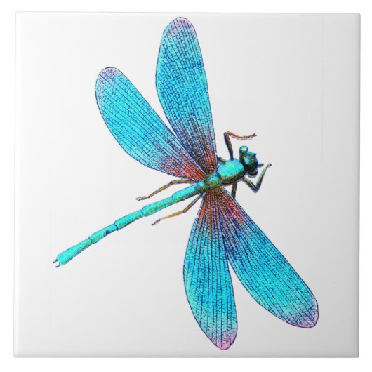 Mooie Dragonfly met Bright Blue Turquoise Tegeltje (Voorkant)