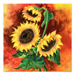 Mooie drie zonnebloemen - Migned Art Painting Foto Afdruk