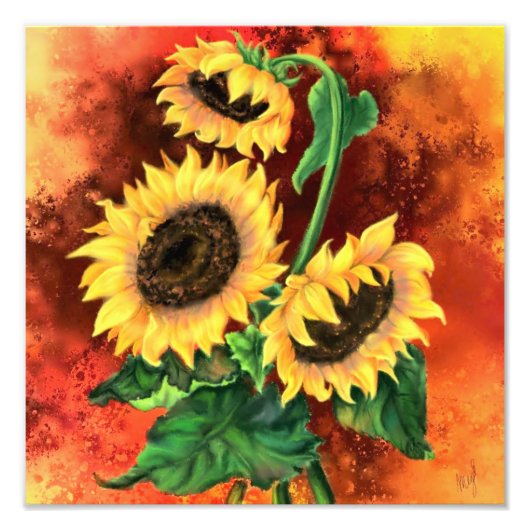 Mooie drie zonnebloemen - Migned Art Painting Foto Afdruk (Voorkant)