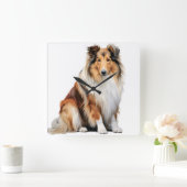 MOOIE DRIEKLEURIGE LANGHARIGE COLLIE HOND VIERKANTE KLOK (Huis)