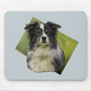 Mooie drieluik-gekleurde rand-collie op groene kun muismat